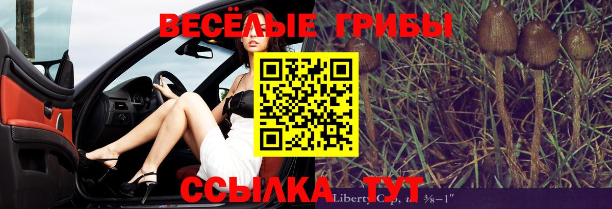 Псилоцибиновые грибы ЛСД  где продают наркотики  Костомукша  Галлюциногенные грибы Psilocybine cubensis  Вход с VPN 
