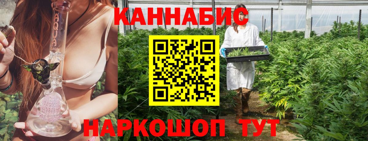 Каннабис конопля Костомукша